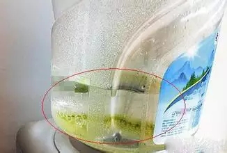 桶装水长绿藻？如何正确饮用桶装水？